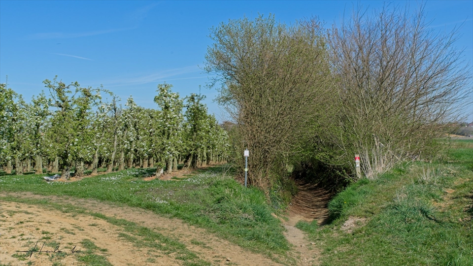 10-Henri Lombaerts-Holle weg