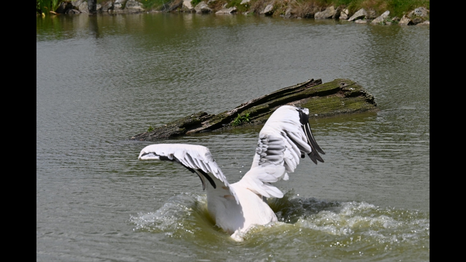 18-Guido De Keyzer-landing in stijl
