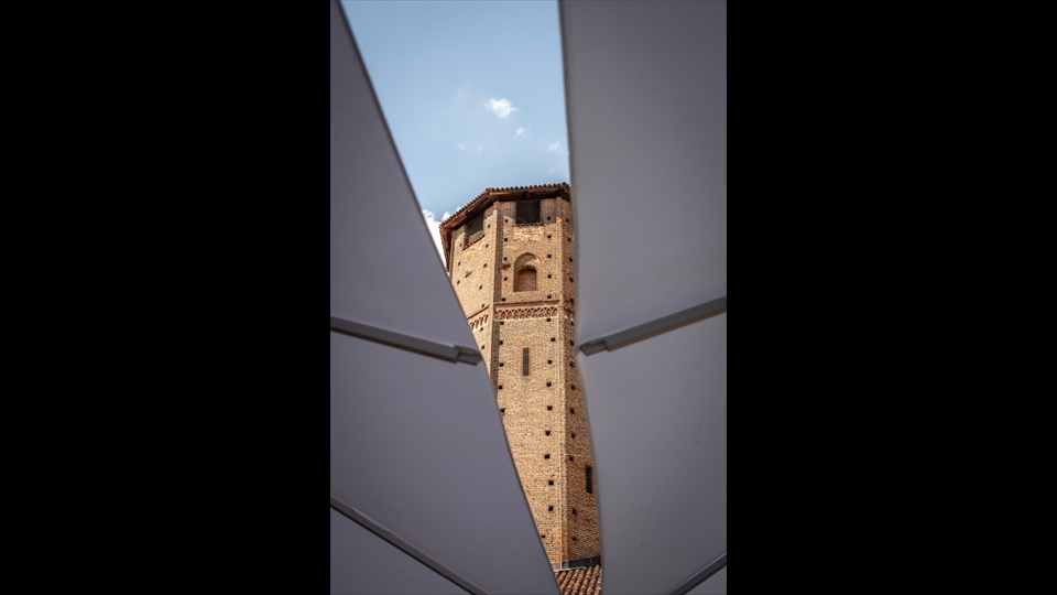 25-Chris Verhaegen-tussen parasols