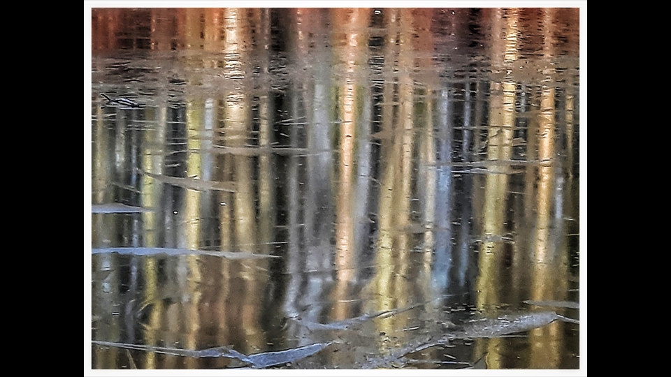 12-Johny Spans-bevroren vijver