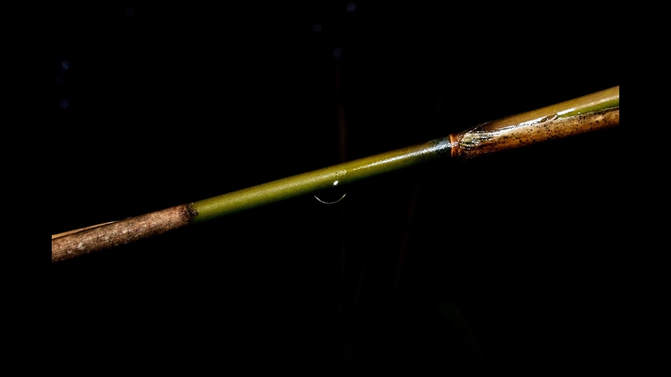 01-Nicole M-vastgehouden moment