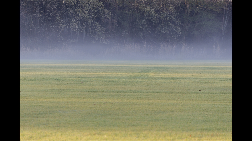 06-Marijke-Couder-mistig