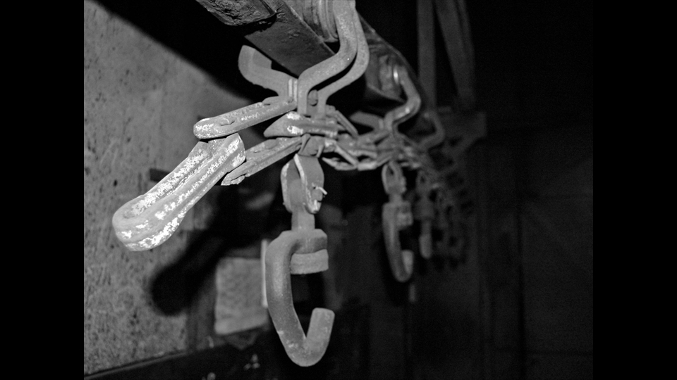 19-Nicole M-vergane glorie