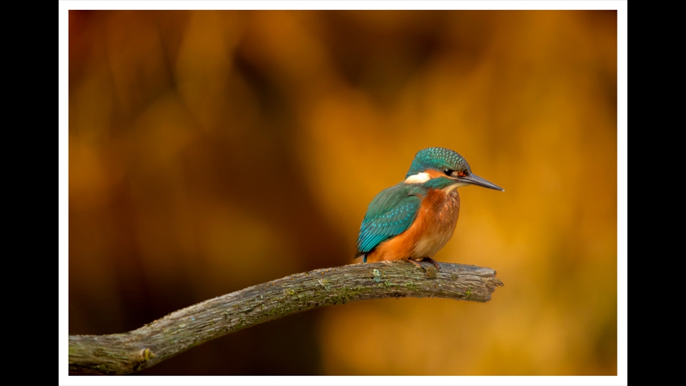 24-Verelst Erik - even poseren